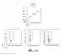 Fig. 33 - Coupling endonucleases with end-processing enzymes drives high efficiency gene disruption