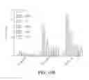Fig. 34 - Coupling endonucleases with end-processing enzymes drives high efficiency gene disruption
