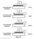 Fig. 03 - Using truncated guide RNAs (tru-gRNAs) to increase specificity for RNA-guided genome editing