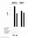 Fig. 12 - Using truncated guide RNAs (tru-gRNAs) to increase specificity for RNA-guided genome editing