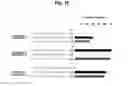 Fig. 23 - Using truncated guide RNAs (tru-gRNAs) to increase specificity for RNA-guided genome editing