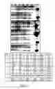 Fig. 71 - 5' TARGETING OLIGONUCLEOTIDES FOR MODULATING RNA