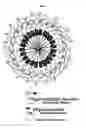 Fig. 02 - Nanoparticle type oligonucleotide structure having high efficiency and method for preparing same