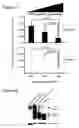Fig. 03 - Modulation of BCL11A for treatment of hemoglobinopathies