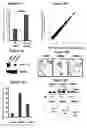 Fig. 06 - Modulation of BCL11A for treatment of hemoglobinopathies