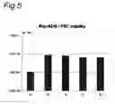 Fig. 05 - VECTORS WITH MODIFIED INITIATION CODON FOR THE TRANSLATION OF AAV-REP78 USEFUL FOR PRODUCTION OF AAV