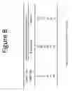Fig. 10 - Compositions for linking DNA-binding domains and cleavage domains