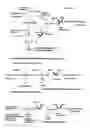 Fig. 55 - Engineered CO2-fixing chemotrophic microorganisms producing carbon-based products and methods of using the same