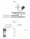Fig. 02 - METHOD FOR THE PRODUCTION OF A LYSATE USED FOR CELL-FREE PROTEIN BIOSYNTHESES