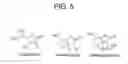 Fig. 06 - Compositions and methods for obtaining nucleic acids from sputum