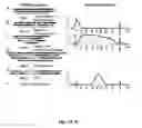 Fig. 02 - Genetic copy number determination using high throughput multiplex sequencing of smashed nucleotides