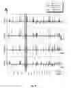 Fig. 04 - Genetic copy number determination using high throughput multiplex sequencing of smashed nucleotides