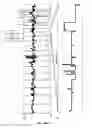 Fig. 06 - Genetic copy number determination using high throughput multiplex sequencing of smashed nucleotides