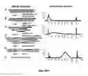 Fig. 09 - Genetic copy number determination using high throughput multiplex sequencing of smashed nucleotides