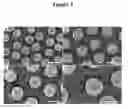 Fig. 04 - Nanoporous gold and silver nanoparticles and substrates for molecular and biomolecular sensing