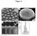 Fig. 05 - Nanoporous gold and silver nanoparticles and substrates for molecular and biomolecular sensing