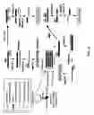 Fig. 05 - Enhanced nucleic acid identification and detection