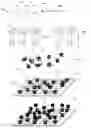 Fig. 01 - High density DNA array