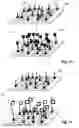 Fig. 08 - High density DNA array