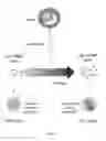 Fig. 04 - Free nucleic acids and miRNA as non-invasive method for determining embryo quality