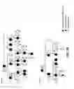 Fig. 03 - METHOD FOR DIAGNOSING RENAL DISEASES OR PREDISPOSITIONS
