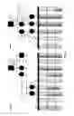 Fig. 05 - METHOD FOR DIAGNOSING RENAL DISEASES OR PREDISPOSITIONS