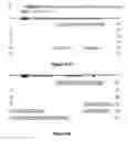 Fig. 59 - Aberrant mitochondrial DNA, associated fusion transcripts and hybridization probes therefor