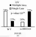 Fig. 05 - POLYMORPHISM IN THE BCL2 GENE DETERMINES RESPONSE TO CHEMOTHERAPY