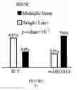 Fig. 09 - POLYMORPHISM IN THE BCL2 GENE DETERMINES RESPONSE TO CHEMOTHERAPY