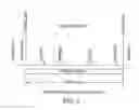 Fig. 02 - SINGLE-STRANDED OLIGONUCLEOTIDE PROBES FOR CHROMOSOME OR GENE COPY ENUMERATION