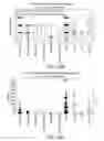 Fig. 12 - SINGLE-STRANDED OLIGONUCLEOTIDE PROBES FOR CHROMOSOME OR GENE COPY ENUMERATION