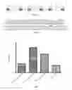 Fig. 02 - Artificial exogenous reference molecule for type and abundance comparison among different species of microorganisms