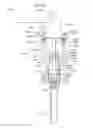 Fig. 85 - Systems and methods for detection of cells using engineered transduction particles