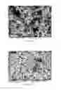 Fig. 04 - Method of producing metallic tantalum