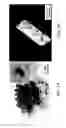 Fig. 10 - Solution growth of single-crystal perovskite structures