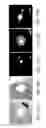 Fig. 35 - Solution growth of single-crystal perovskite structures