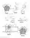 Fig. 03 - COMPRESSOR INLET GUIDE VANES