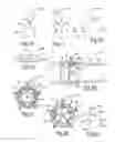 Fig. 04 - COMPRESSOR INLET GUIDE VANES