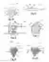 Fig. 06 - COMPRESSOR INLET GUIDE VANES