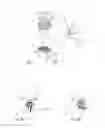 Fig. 02 - Retaining element