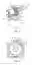 Fig. 06 - SINGLE-MOTOR TRANSMISSION ACTUATOR WITH GATE FOR SELECTING AND SHIFTING GEARS OF A MOTOR VEHICLE TRANSMISSION DEVICE