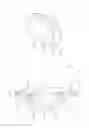 Fig. 04 - Closing plug