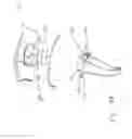 Fig. 65 - Backwater valve assembly and method