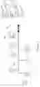 Fig. 07 - Smart solenoid for controlling fluid flow