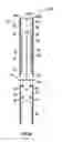 Fig. 23 - Bracket assembly for media patching system