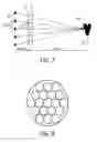 Fig. 05 - Optical arrangement, lighting device and illumination method