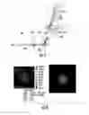Fig. 06 - Diffusion lens and light emitting module having the same