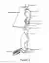 Fig. 02 - Wirelessly-charged self-lit lamp finial