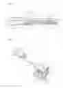 Fig. 02 - Firearm with a hammer mechanism