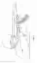 Fig. 09 - Bump fire grip